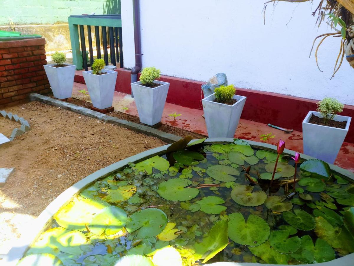Guesthouse Panorama Beruwala Εξωτερικό φωτογραφία